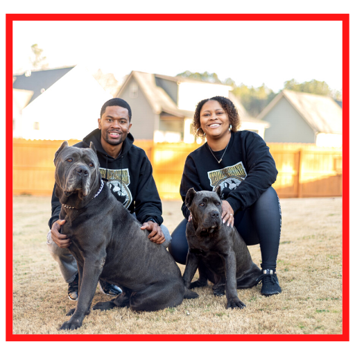 Shipley hot sale cane corso